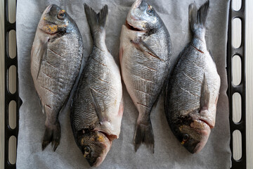 Uncooked sea bream fish in a baking tray