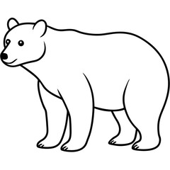 polar bear vector illustration 