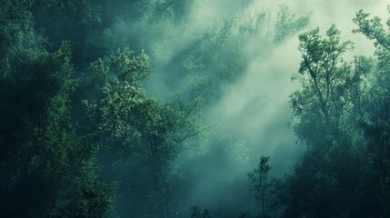 Fototapeta premium Amidst the misty shroud, verdant trees sway, their emerald hues mingling with the ethereal fog. The forest echoes with tranquility, a hushed symphony of nature's gentle embrace.