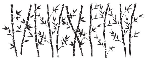 Bamboo tree on white. Hand drawn style. Vector illustrations.	