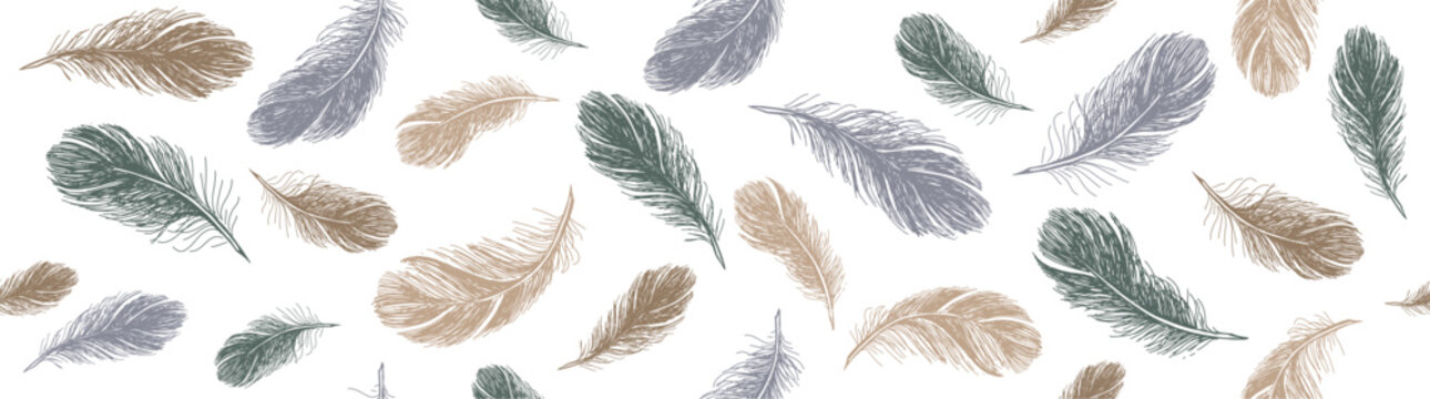 Feathers pattern on white background, Hand drawn sketch style.
