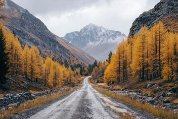 Naklejka premium Winding dirt road through vibrant autumn forest with golden larch trees Generative AI
