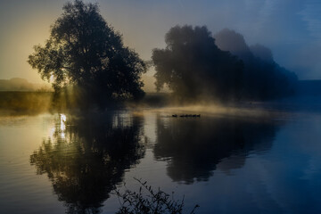 Fototapeta premium Ein nebliger Morgen an der Donau