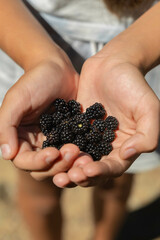 The girl has a black blackberry in her hands