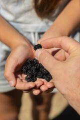 The girl has a black blackberry in her hands