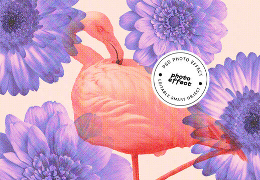 Risograph Halftone Photo Effect