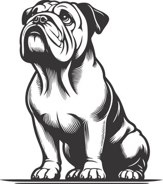 recommend clip art: french bulldog Sitting pretty/begging silhouette vector design.