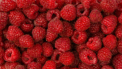 Tasty fresh raspberry as a background.