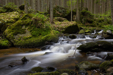 A fairytale stream flows through the forest.