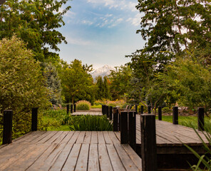 Summer landscape. Garden and mountains in the background