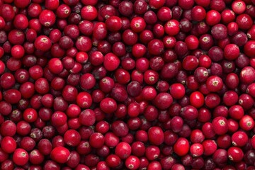A close up of a bunch of red berries, generative ai image