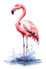 A pink flamingo stands on a wet surface