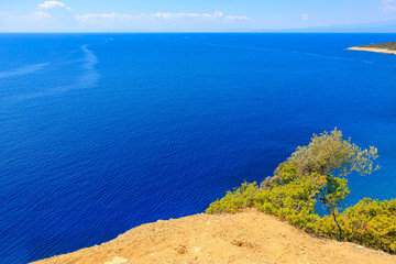 A beautiful blue ocean with a tree on the shore