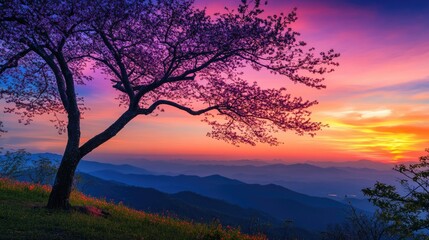 Naklejka premium Vibrant Sunset Over Serene Mountain Landscape