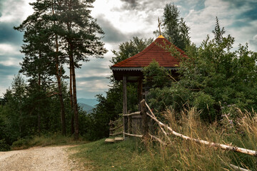 wooden house in the woods