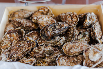 Fresh Oysters arrived in a wooden box ready to be served.