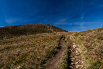 Obraz premium Autumn walk in the Bieszczady National Park.