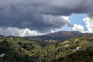 Vegetation and houses in the centre on the island Corfu