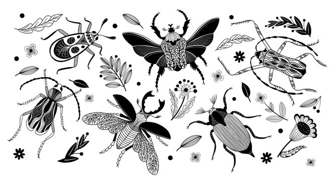 Hand Drawn bugs and beetles with flowers and leaf.