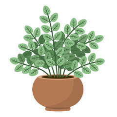 Houseplant with small leaves on branches in ceramic brown pot. Flat style. Vector illustration.
