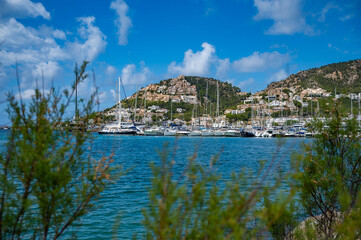 Port Andratx, Mallorca with lots of yachts and a mountain with real estate in the background, plants in front, majorca