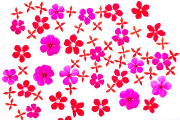 Simple floral vector seamless pattern. White, red, orange flowers on a light pink background. For fabric prints, textile products, summer clothes.