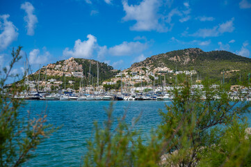 Port Andratx, Mallorca with lots of yachts and a mountain with real estate in the background, plants in front, majorca