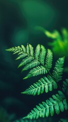 Close-up of vibrant green fern leaves against a dark background suitable for smartphone wallpaper