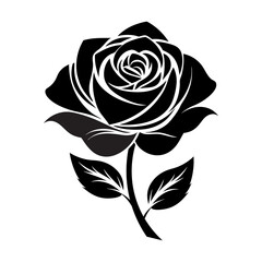 black and white rose