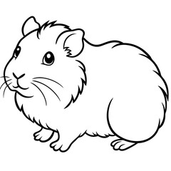 Hand Draw abyssinian-guinea-pig-vector Illustration(13)