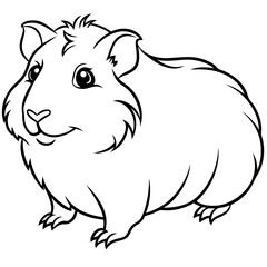 Hand Draw abyssinian-guinea-pig-vector Illustration(13)
