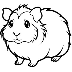 Hand Draw abyssinian-guinea-pig-vector Illustration(13)