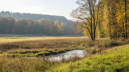 Obraz premium Golden autumn light illuminating a serene riverbank beside a vibrant forest