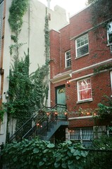 Old Brooklyn Apartment Covered in Vines
