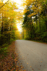 Fall Leaves in New England Autumn, Vermont, New Hampshire, Massachusetts, Maine. 