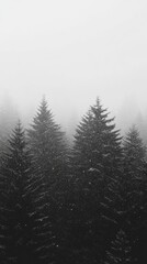 Obraz premium A tranquil snowy forest features tall pine trees surrounded by soft snowfall against an overcast sky