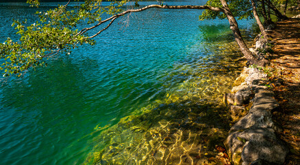 Beautiful peaceful landscape with forest lake. The tranquil transparent waters of lake in the background. Beautiful nature lake. Landscape Reflection off of a clear lake water surface.