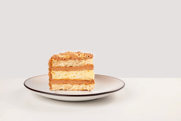 A delicious slice of layered cake with chocolate and cream. Perfect for food blogs, recipes and bakery marketing.