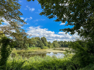 Fototapeta premium Scenic view of a lake in the Volkspark Rehberge in Berlin, Germany
