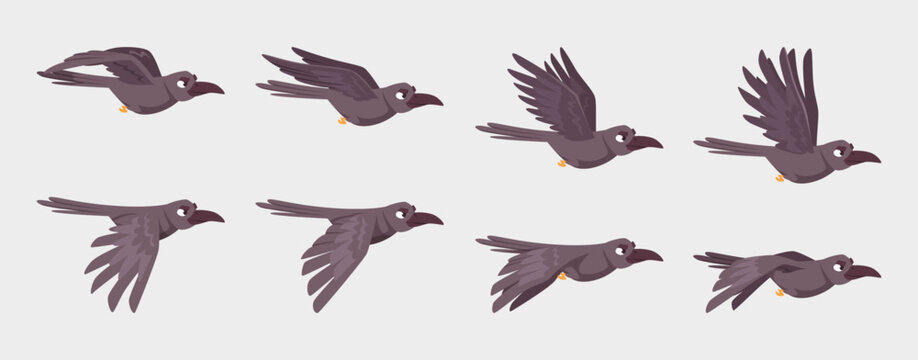 Crow flying. Keyframe animation of flying gothic birds 2d sequence exact vector cartoon template assets for game design projects