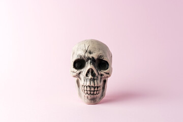 Halloween skull head on pink background. Minimal holiday concept.
