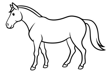horse illustration
