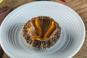 Delicous luxury raw sea urchin