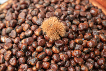 Raw fresh chestnuts kestane close-up in the market ,top view of chestnuts.