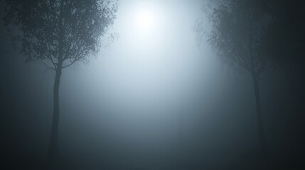 Shadows of the Night: Aesthetic Noir Photograph of Foggy Moonlit Scene with Haunting Tree Silhouettes
