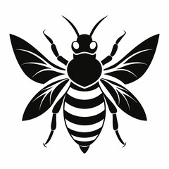 bee on white
