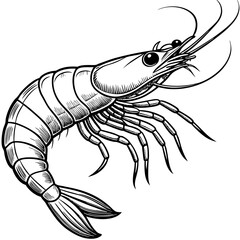 High-Quality Black and White Shrimp Illustration &ndash; Perfect for Seafood Design Projects
