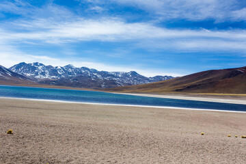 A photo of landscape at Miscanti lagoon