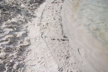 Sandy shore of the lake