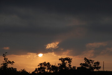 Dawn in nature. Early morning the sun has risen slightly above the horizon and illuminates everything around. Silhouettes of growing trees and bushes are visible against the background of the sun.